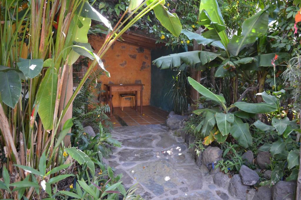 Hostel El Porvenir Los Llanos De Aridane Pokoj fotografie