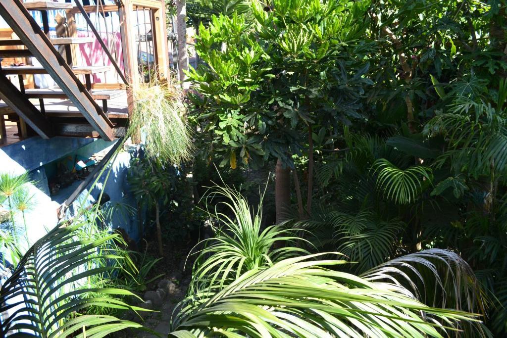 Hostel El Porvenir Los Llanos De Aridane Exteriér fotografie